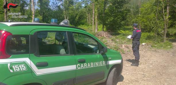 Gemonio, 12mila metri quadri di bosco cancellati per fare spazio a un prato: denunciati i titolari di un’azienda agricola. Maxi multa da 172mila euro