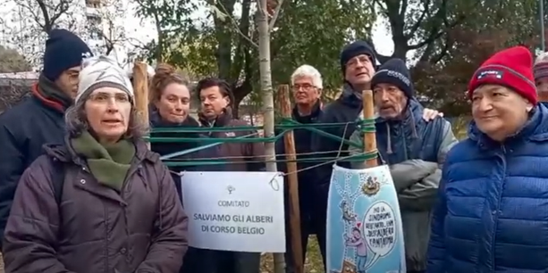 In corso Belgio prosegue il duello del verde: gli attivisti piantano un nuovo albero "contro" il Comune