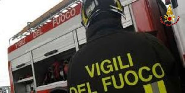 Tragico incidente a Quattordio: furgone si schianta contro un albero, muore il conducente Tragico incidente a Quattordio: furgone si schianta contro un albero, muore il conducente