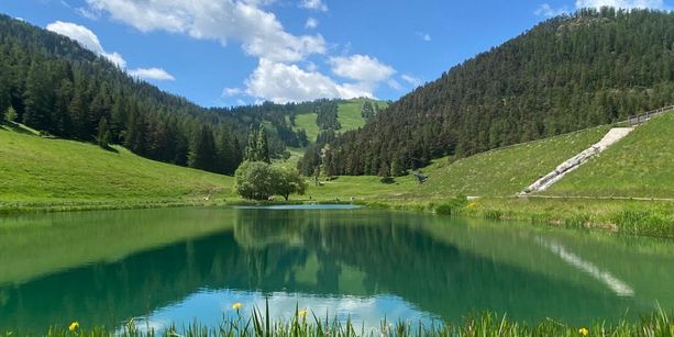 “Le pique-nique des Frenchy” torna alla Colmiane: musica, natura e divertimento sulle rive del lago