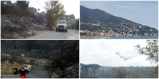 Alassio, domato l'incendio sulla collina tra Cavia e Santa Croce: avviate le fasi di bonifica (FOTO e VIDEO) Alassio, domato l'incendio sulla collina tra Cavia e Santa Croce: avviate le fasi di bonifica (FOTO e VIDEO)