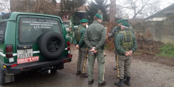 Mattinata di controlli e sanzioni per due proprietari di animali di Villafranca Piemonte Mattinata di controlli e sanzioni per due proprietari di animali di Villafranca Piemonte