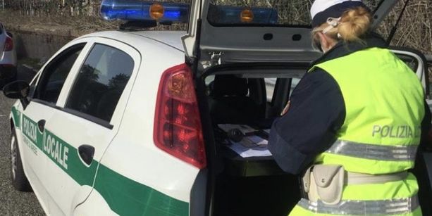 Mimose abusive, la polizia locale di Varese sequestra oltre 700 mazzi di fiori Mimose abusive, la polizia locale di Varese sequestra oltre 700 mazzi di fiori