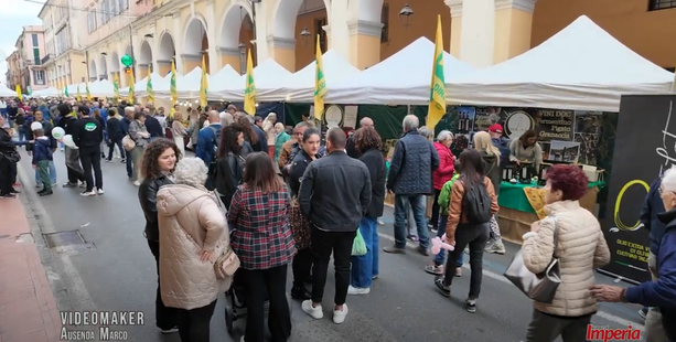 OliOLiva non delude, i visitatori promuovono la ventiquattresima edizione (video) OliOLiva non delude, i visitatori promuovono la ventiquattresima edizione (video)
