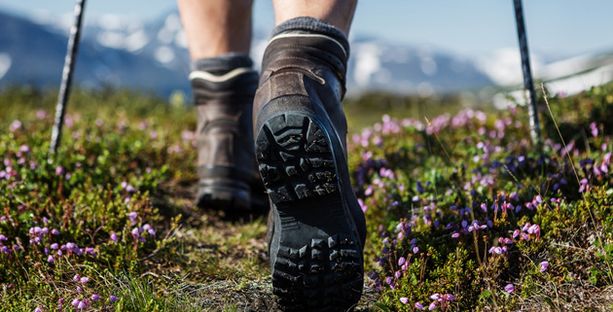 Fase 2: cosa fare sabato 16 e domenica 17 maggio Fase 2: cosa fare sabato 16 e domenica 17 maggio