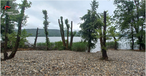 Spiaggia privata abusiva sul lago di Comabbio, denunciato e multato di 17mila euro un cittadino di Vergiate Spiaggia privata abusiva sul lago di Comabbio, denunciato e multato di 17mila euro un cittadino di Vergiate