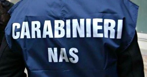 Sequestrate due tonnellate di uova di Pasqua e colombe dai carabinieri del Nas Sequestrate due tonnellate di uova di Pasqua e colombe dai carabinieri del Nas