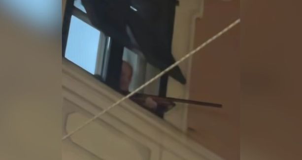 Albenga, spunta con un fucile da una finestra sulla folla: panico durante il Palio Storico Albenga, spunta con un fucile da una finestra sulla folla: panico durante il Palio Storico