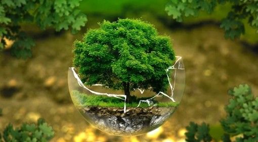 Spunta un nuovo bosco urbano a Udine di oltre tremila piante