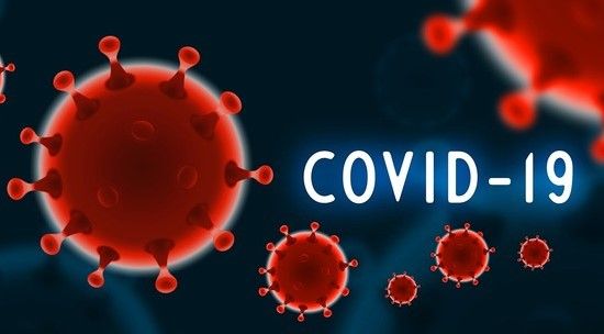 Coronavirus, zero morti oggi in Piemonte. I ricoverati in terapia intensiva sono 30 Coronavirus, zero morti oggi in Piemonte. I ricoverati in terapia intensiva sono 30