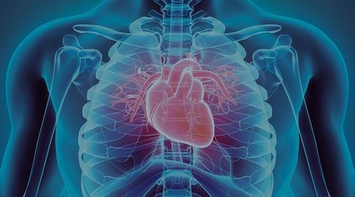 Attenzione ai segnali per individuare le malattie cardiovascolari nei bambini Attenzione ai segnali per individuare le malattie cardiovascolari nei bambini