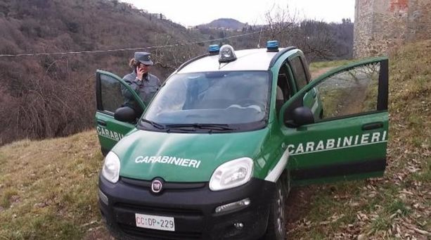 I carabinieri della Forestale avvertono: &quot;Nel 2022 boom di incendi, aumenta la pesca abusiva&quot;