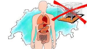 Il 13 febbraio referendum sul divieto degli esperimenti sugli animali e sugli esseri umani