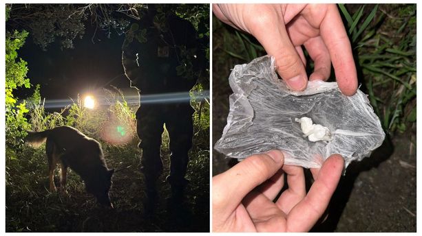 Nascondevano la droga nei muretti a secco per evitare i controlli, due arresti per l'operazione “Olive & Cocaina” Nascondevano la droga nei muretti a secco per evitare i controlli, due arresti per l'operazione “Olive & Cocaina”