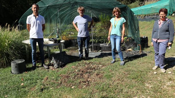 Casalborgone: un branco di cinghiali devasta un vivaio e arriva nelle vicinanze di un'abitazione Casalborgone: un branco di cinghiali devasta un vivaio e arriva nelle vicinanze di un'abitazione