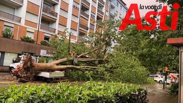 Asti: pioggia e vento sradicano albero in via Rosselli. Colpite due auto