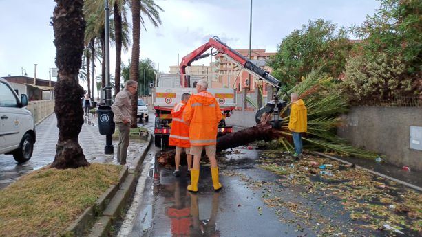 Albenga: tromba d’aria, grandine e piogge violente. Il sindaco: “Faremo il possibile per ottenere risarcimenti per chi è stato danneggiato” (FOTO) Albenga: tromba d’aria, grandine e piogge violente. Il sindaco: “Faremo il possibile per ottenere risarcimenti per chi è stato danneggiato” (FOTO)