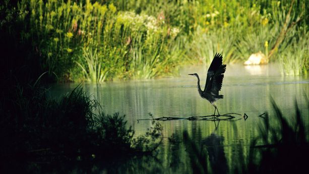 Terza domenica di maggio con tante proposte per il tempo libero Terza domenica di maggio con tante proposte per il tempo libero