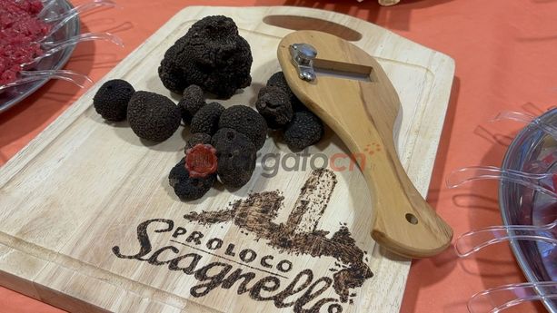 Dalla Fiera del tartufo nero di Scagnello agli ultimi appuntamenti di Carnevale: ecco come trascorrere la domenica in provincia Dalla Fiera del tartufo nero di Scagnello agli ultimi appuntamenti di Carnevale: ecco come trascorrere la domenica in provincia