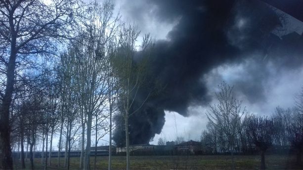 Cuneo, incendio in frazione San Benigno: praticamente cancellato un campo di grano Cuneo, incendio in frazione San Benigno: praticamente cancellato un campo di grano