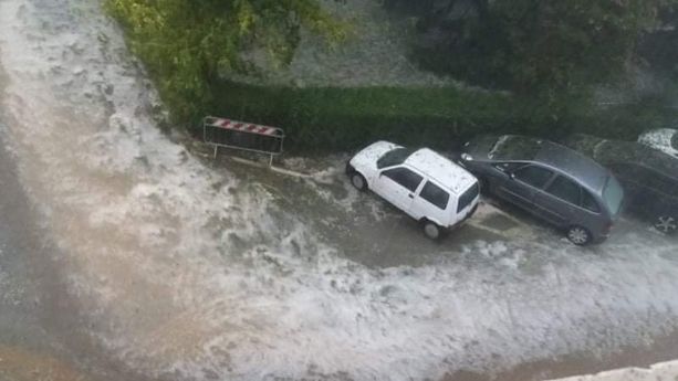Danni in Canavese a causa della pioggia: ad Agliè un albero finisce sulla scuola