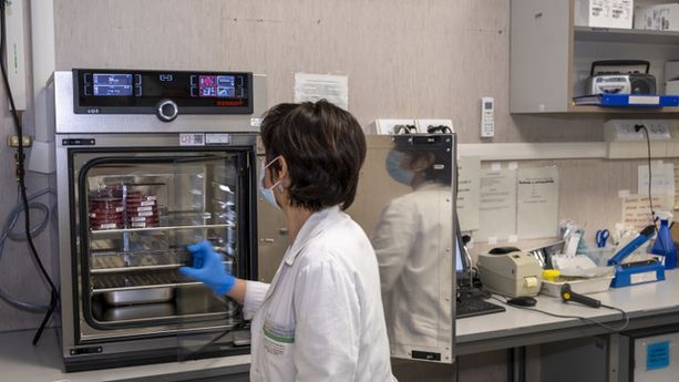 Parco della Salute, l'inflazione alza il conto finale: dalla Regione 72 milioni per coprire gli extra-costi Parco della Salute, l'inflazione alza il conto finale: dalla Regione 72 milioni per coprire gli extra-costi