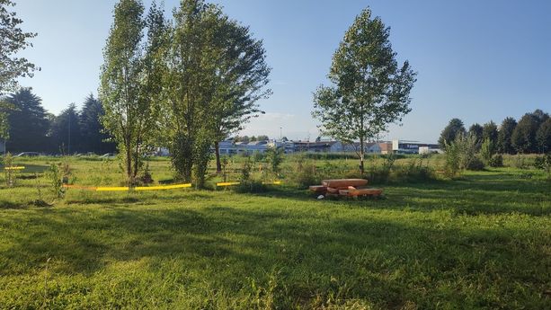 Cosa resta del "pratone" di Parella? Dietro la selva, spunta un'oasi di pace