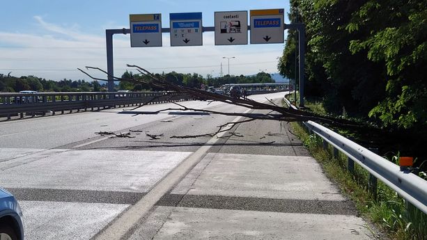Un albero cade sulla carreggiata e provoca un incidente: una persona al Cto e traffico in tilt sulla tangenziale nord (FOTO)
