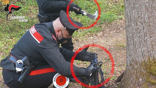 Spaccio nel Varesotto, i carabinieri arrestano due pusher tra i boschi della Valcuvia: uno era armato di pistola Spaccio nel Varesotto, i carabinieri arrestano due pusher tra i boschi della Valcuvia: uno era armato di pistola