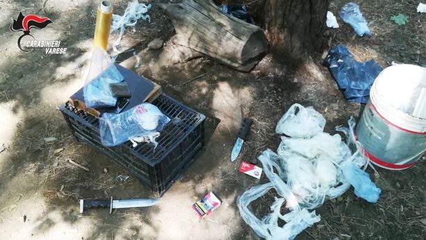 Spaccio al Parco Pineta: blitz dei carabinieri, due arresti e quattro ricercati Spaccio al Parco Pineta: blitz dei carabinieri, due arresti e quattro ricercati