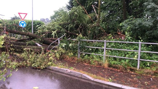 Nubifragio si abbatte sul Basso Varesotto, strade e sottopassi allagati, alberi caduti