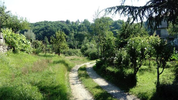 Varese, la bretellina di via Selene fa discutere la maggioranza: «Un'area verde da salvaguardare» Varese, la bretellina di via Selene fa discutere la maggioranza: «Un'area verde da salvaguardare»