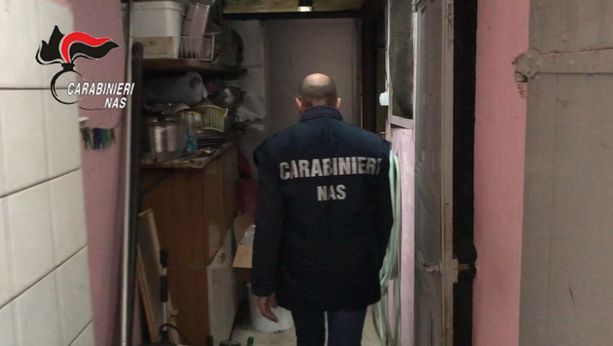 Piossasco, in soffitta i Nas scoprono un laboratorio clandestino che produce farmaci dopanti Piossasco, in soffitta i Nas scoprono un laboratorio clandestino che produce farmaci dopanti
