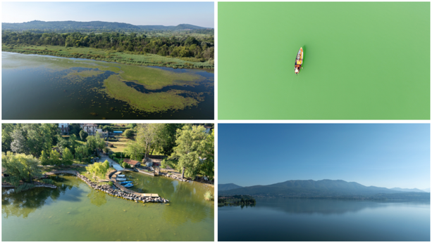 VIDEO. Il lago di Varese visto dall'alto: l'effetto del caldo e le alghe, tra fiume azzurro e verde smeraldo
