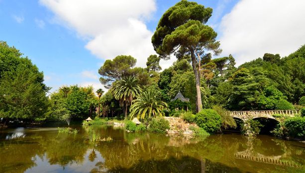 Il domaine Valrose, eccellenza al servizio del territorio, una mostra a Nizza Il domaine Valrose, eccellenza al servizio del territorio, una mostra a Nizza