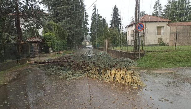 FOTO. Nubifragio colpisce all'alba il Varesotto: alberi caduti e tetti danneggiati FOTO. Nubifragio colpisce all'alba il Varesotto: alberi caduti e tetti danneggiati