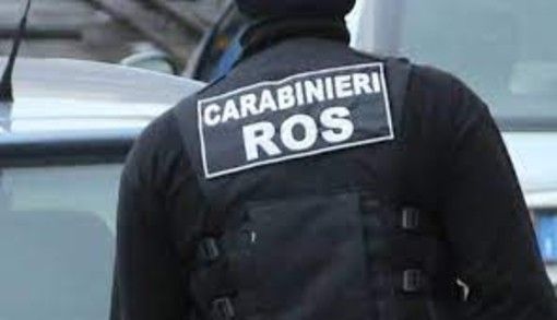 Sette arresti nell’operazione dei carabinieri del Ros contro la ‘ndrangheta Sette arresti nell’operazione dei carabinieri del Ros contro la ‘ndrangheta