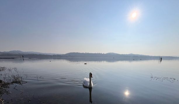 A SPASSO NEL WEEKEND. Dal mercatino francese in piazza Monte Grappa al Carnevale di Besozzo: gli eventi del fine settimana A SPASSO NEL WEEKEND. Dal mercatino francese in piazza Monte Grappa al Carnevale di Besozzo: gli eventi del fine settimana