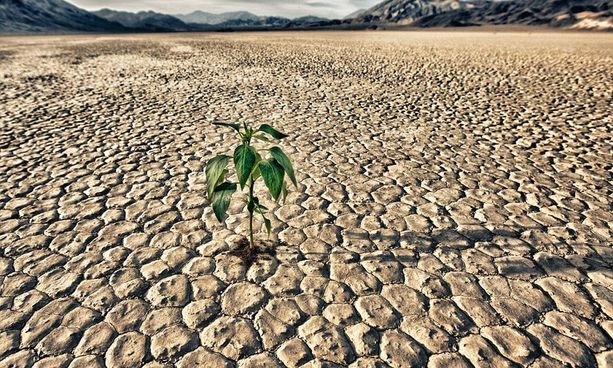 Crisi idrica: Pinerolo emana l’ordinanza per limitare l’uso dell’acqua potabile Crisi idrica: Pinerolo emana l’ordinanza per limitare l’uso dell’acqua potabile