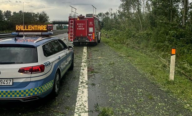 Alberi cadono sulla carreggiata della A5 a causa del maltempo: forti ripercussioni sul traffico Alberi cadono sulla carreggiata della A5 a causa del maltempo: forti ripercussioni sul traffico