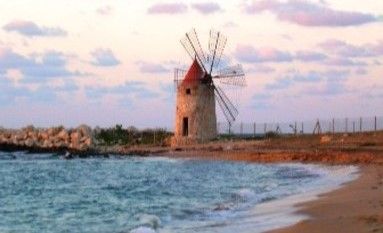 C’è un progetto per valorizzare la salicoltura italiana e farla diventare un’attività agricola