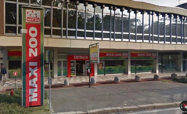 Varese, torna il rapinatore in bici: colpo al Maxi Zoo. Le commesse: «Ci ha puntato contro la pistola» Varese, torna il rapinatore in bici: colpo al Maxi Zoo. Le commesse: «Ci ha puntato contro la pistola»