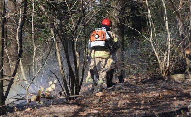 Incendio boschivo a Verdasio, nel Locarnese Incendio boschivo a Verdasio, nel Locarnese