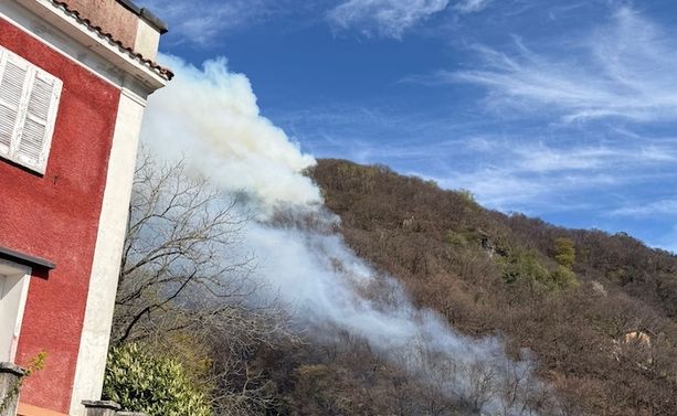 Incendio nei boschi sopra Laveno Mombello, in azione anche l'elicottero dei vigili del fuoco