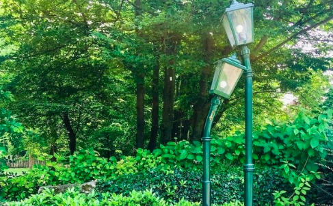 San Valentino: promozioni, visite guidate e concerti. Ecco come celebrare a Torino la festa degli innamorati San Valentino: promozioni, visite guidate e concerti. Ecco come celebrare a Torino la festa degli innamorati