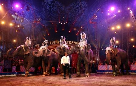 Nel 2024 il Festival del Circo di Monte-Carlo festeggia i 50 anni, biglietteria già aperta