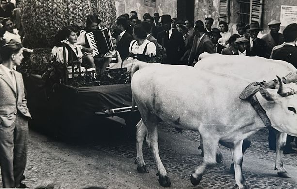 Nacque dalla Sagra dell’Uva e diede i nomi e i numeri alle vie: la Pro loco ricorda i suoi 50 anni Nacque dalla Sagra dell’Uva e diede i nomi e i numeri alle vie: la Pro loco ricorda i suoi 50 anni