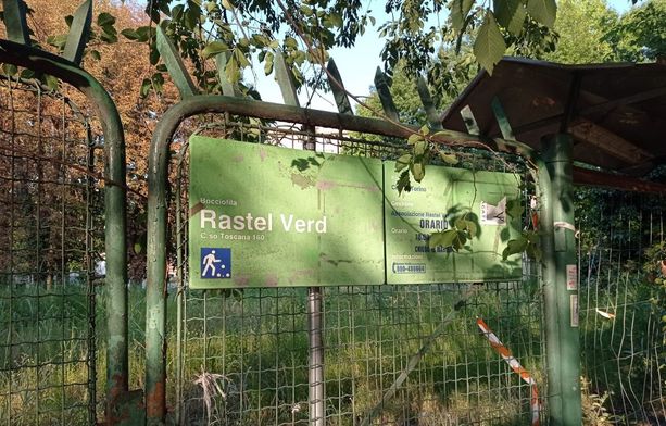 Ex bocciofila Rastel Verd nuovo bosco urbano? "Qui l’erba è alta tre metri"