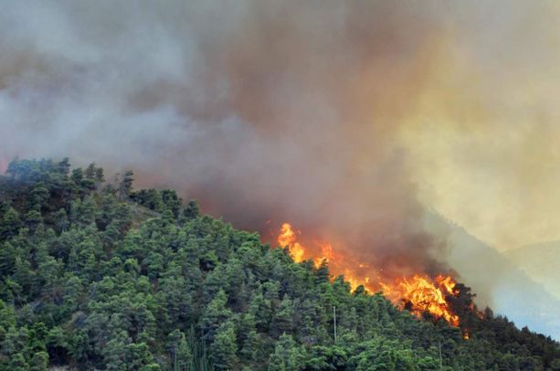 Aumenta il pericolo di incendi boschivi in Ticino, passato da marcato a forte