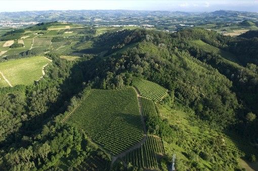 L’agroalimentare diventa più competitivo grazie alla formazione continua